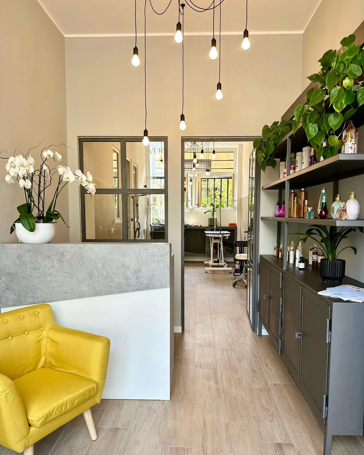 Vip groomingmilano interno 2